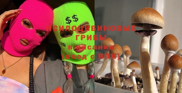 прущая мука Бугульма