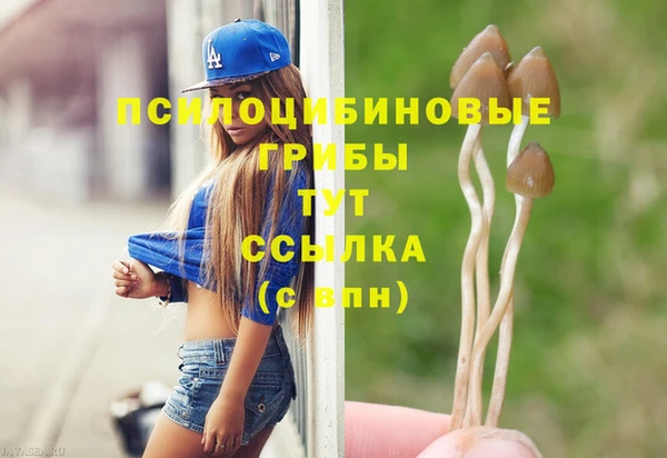 метадон Бородино